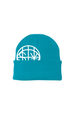 Load image into Gallery viewer, $¥ Globe Beanie (multi color)